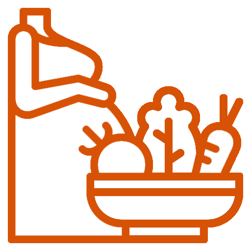 Nutrição na Gravidez